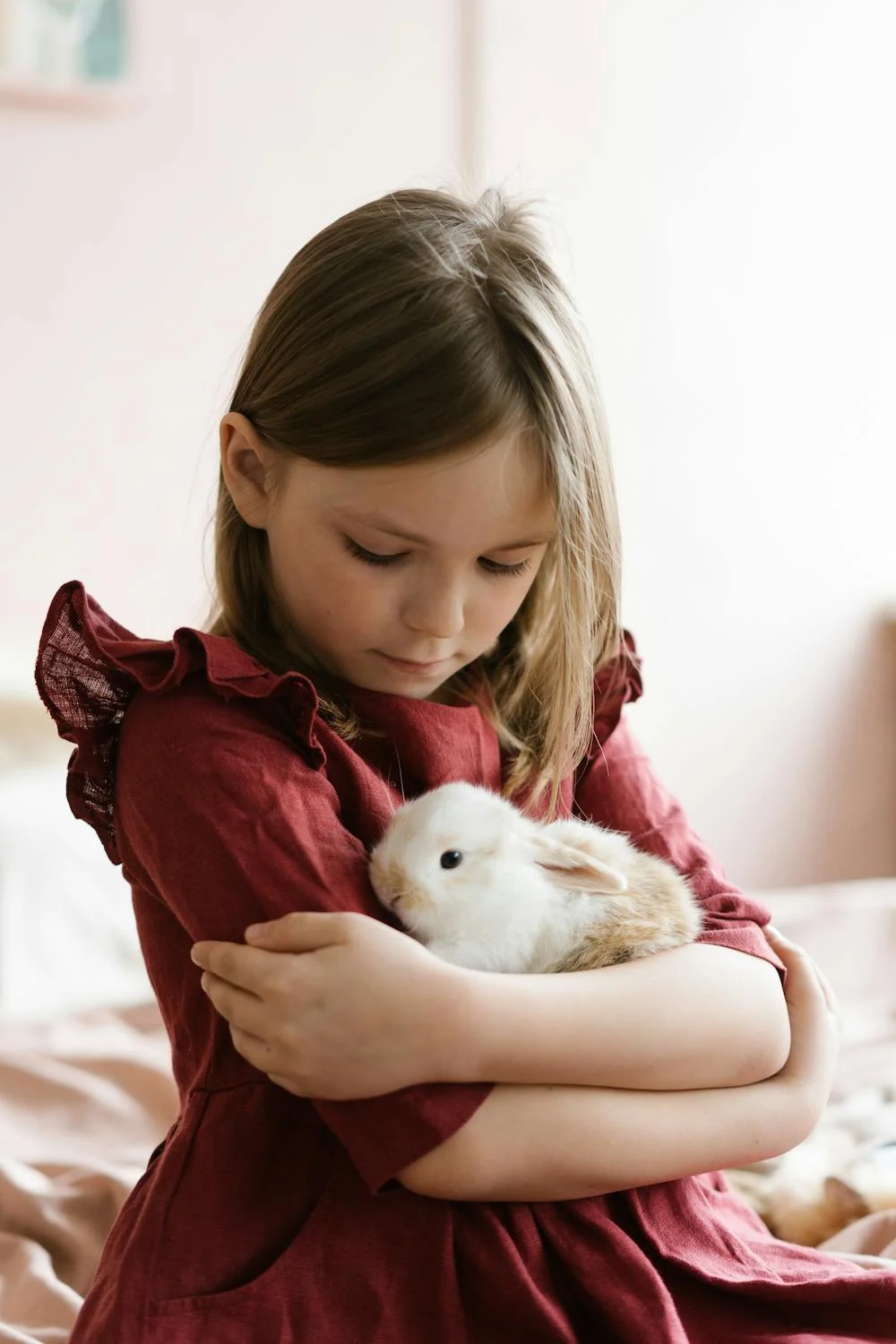 Child And Rabbit