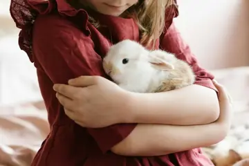 Child And Rabbit