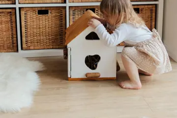 Pexels Photo 3933028