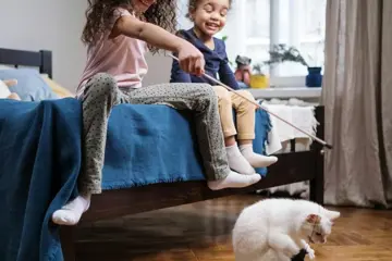 Children And Cat