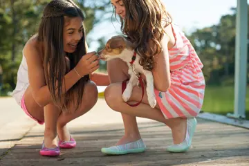 Girls Playing With Dog