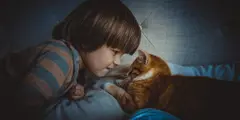 Child And Cat