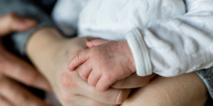 Baby Hand Holding Adult