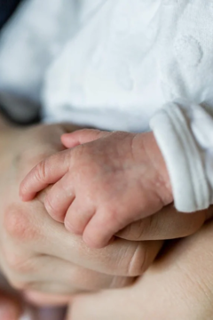 Baby Hand Holding Adult