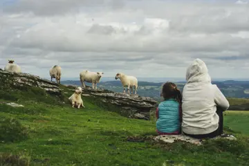 Child And Adult With Sheep